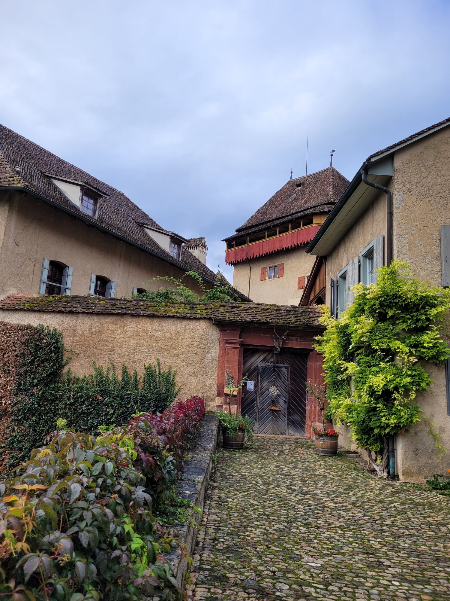 Image 11