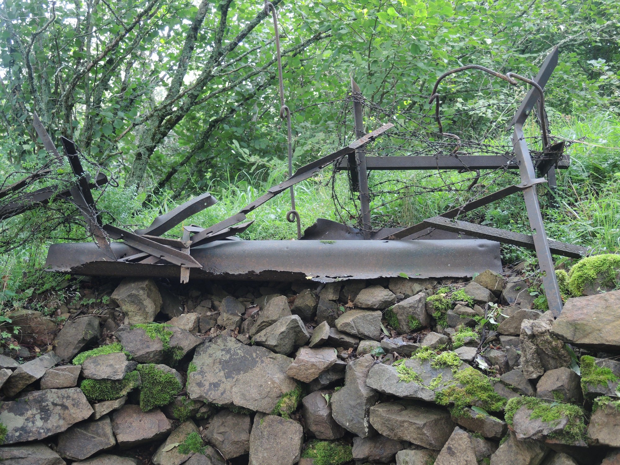 Image 9