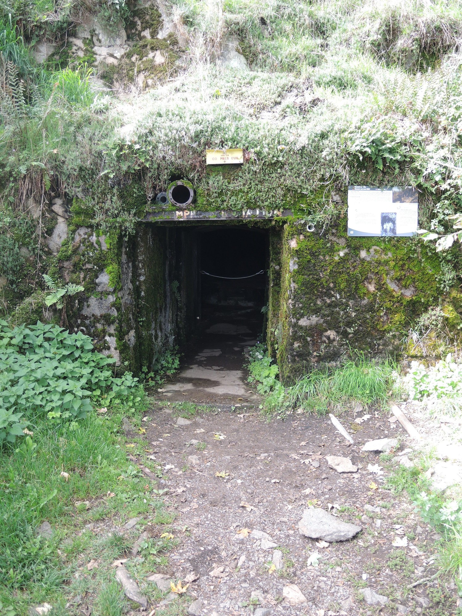 DSCN8620-1