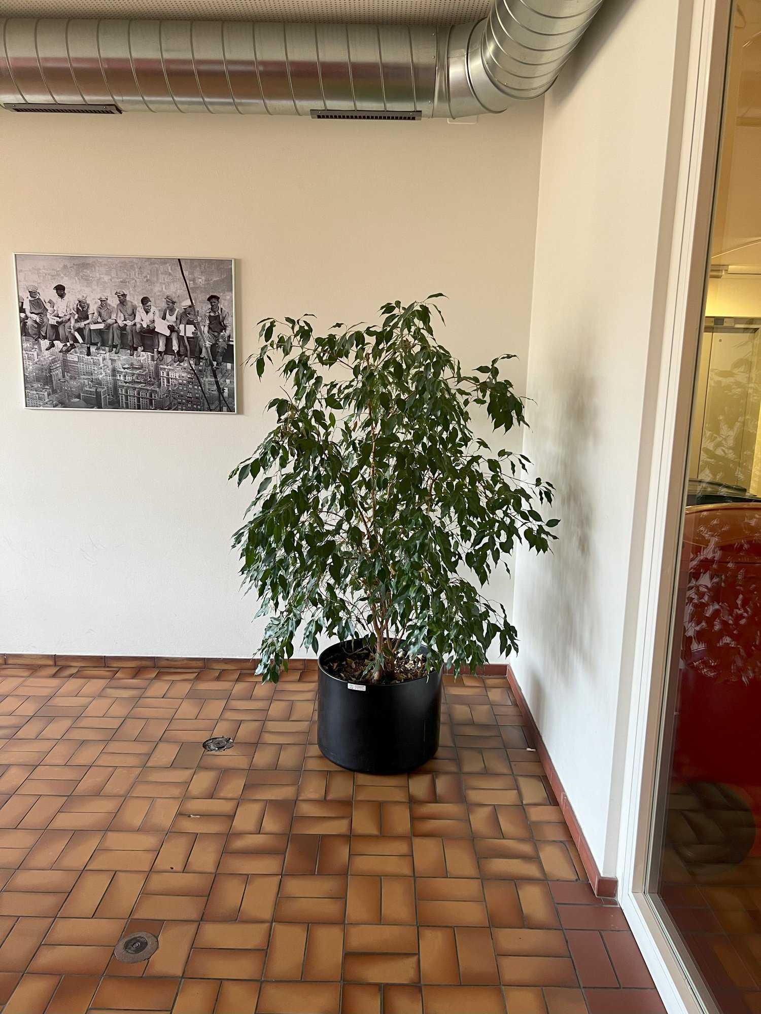 Image 8