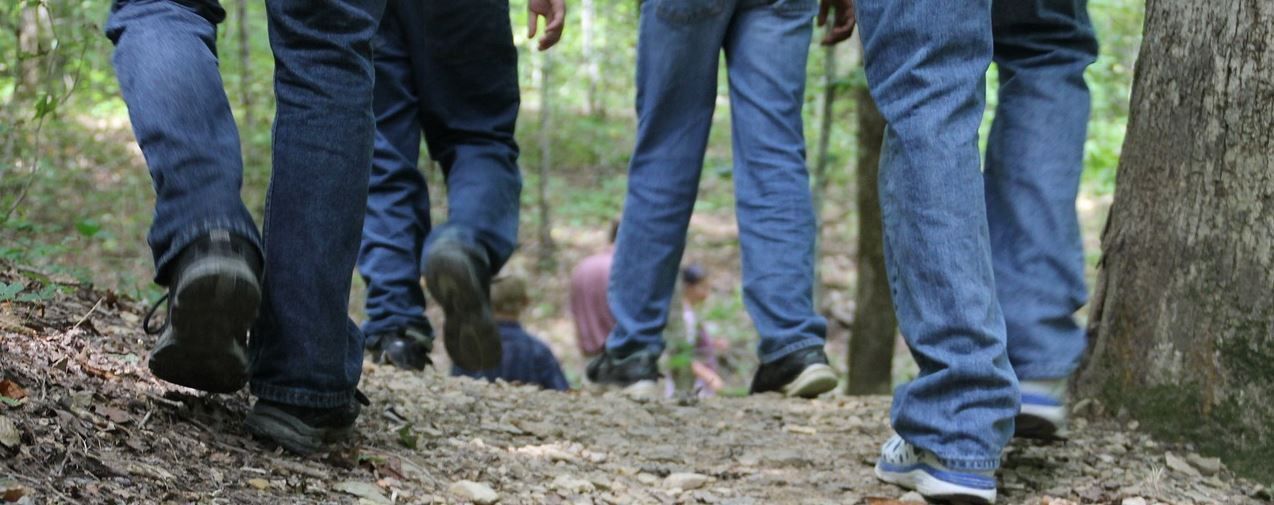 Wanderung im Wald